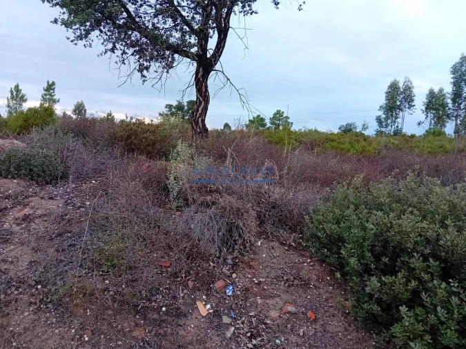 Terreno para Venda em Quinta do Anjo Foto 2