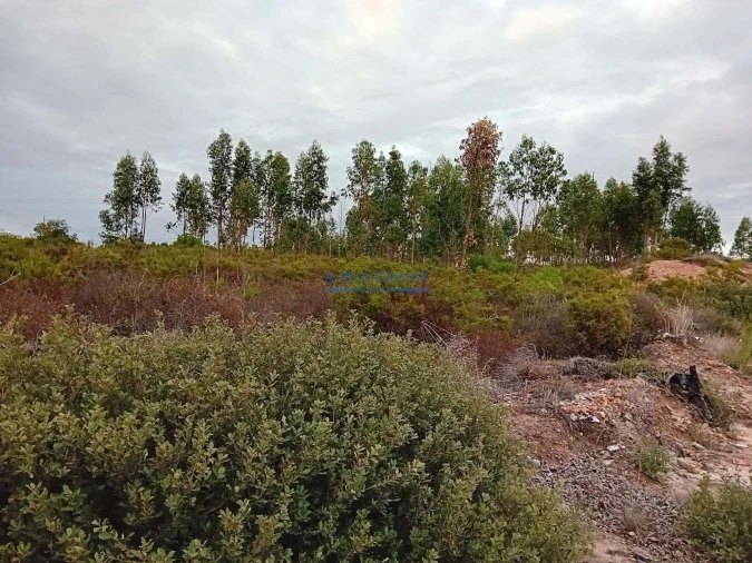Terreno para Venda em Quinta do Anjo Foto 13