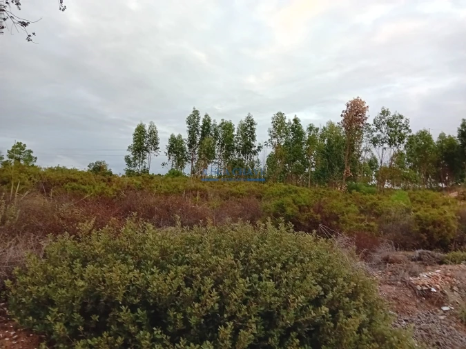 Terreno para Venda em Quinta do Anjo Foto 6