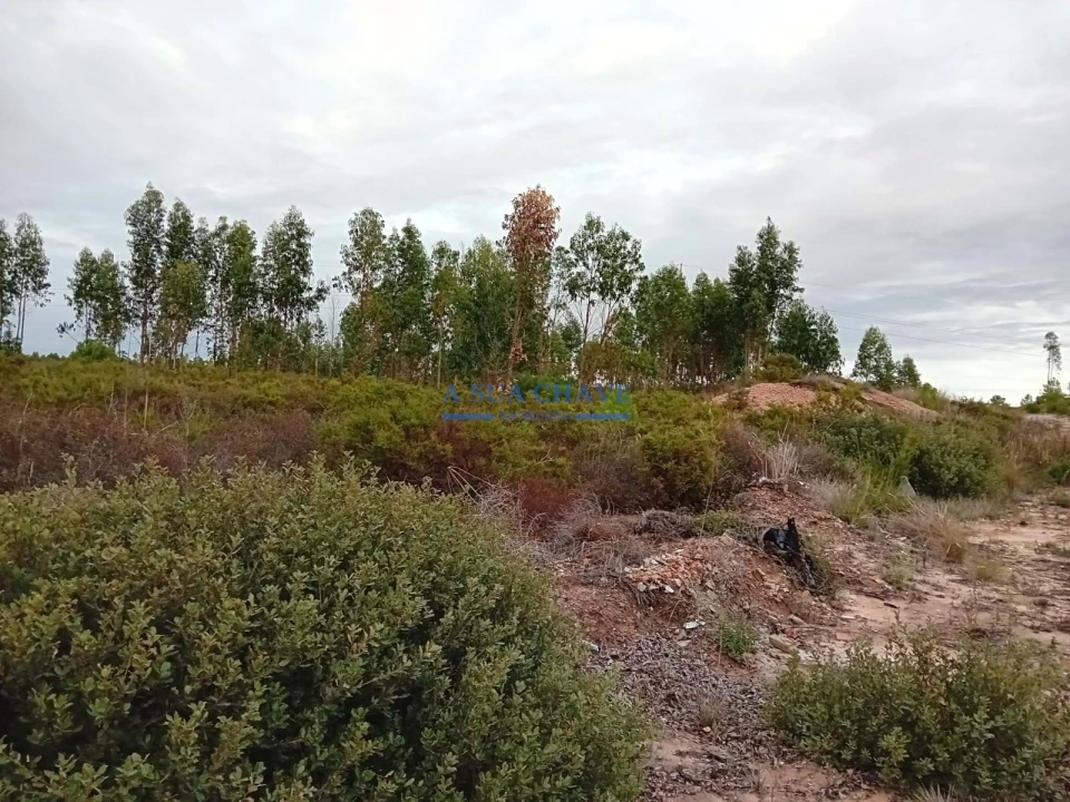 Terreno para Venda em Quinta do Anjo Foto 5