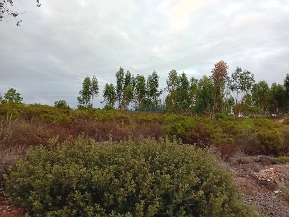 Terreno para Venda em Quinta do Anjo Foto 6