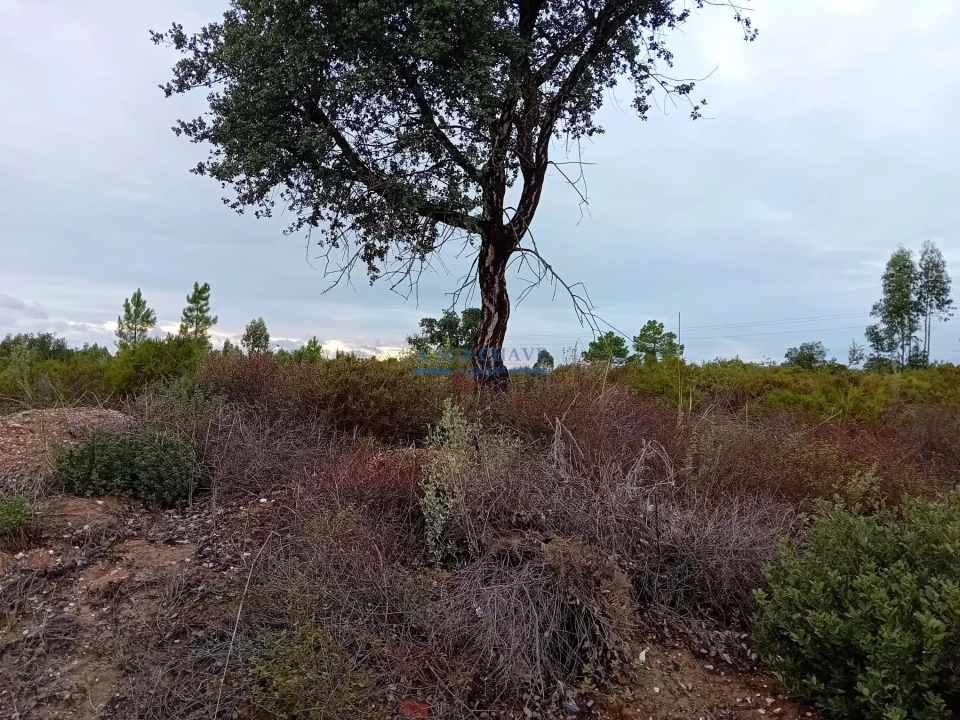 Terreno para Venda em Quinta do Anjo Foto 10