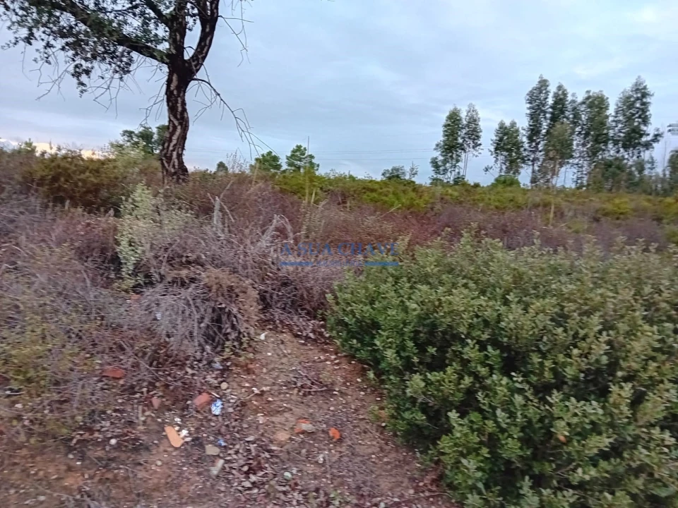 Terreno para Venda em Quinta do Anjo Foto 3