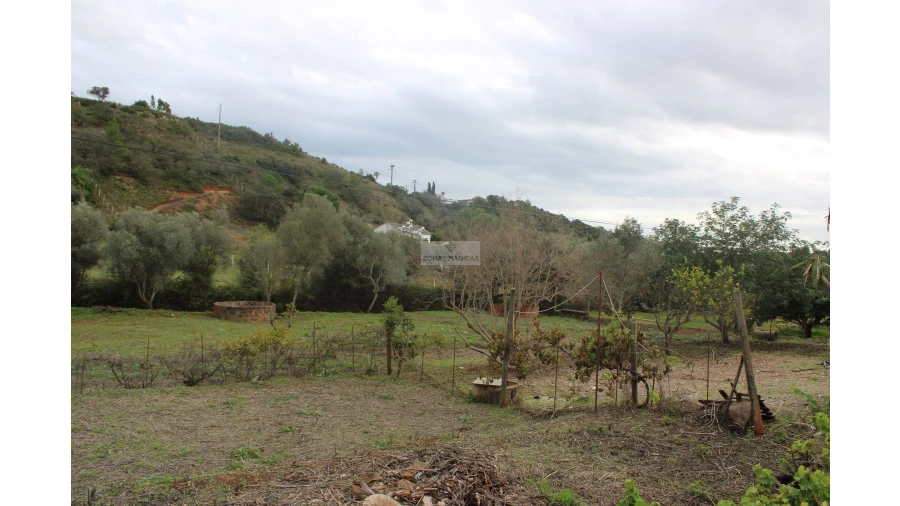 Quinta T2 para Venda em Mexilhoeira Grande Foto 16