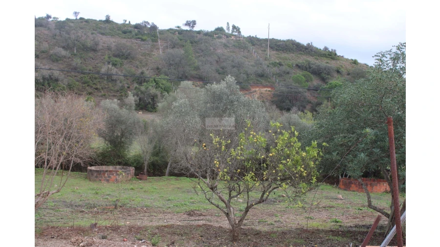 Quinta T2 para Venda em Mexilhoeira Grande Foto 20