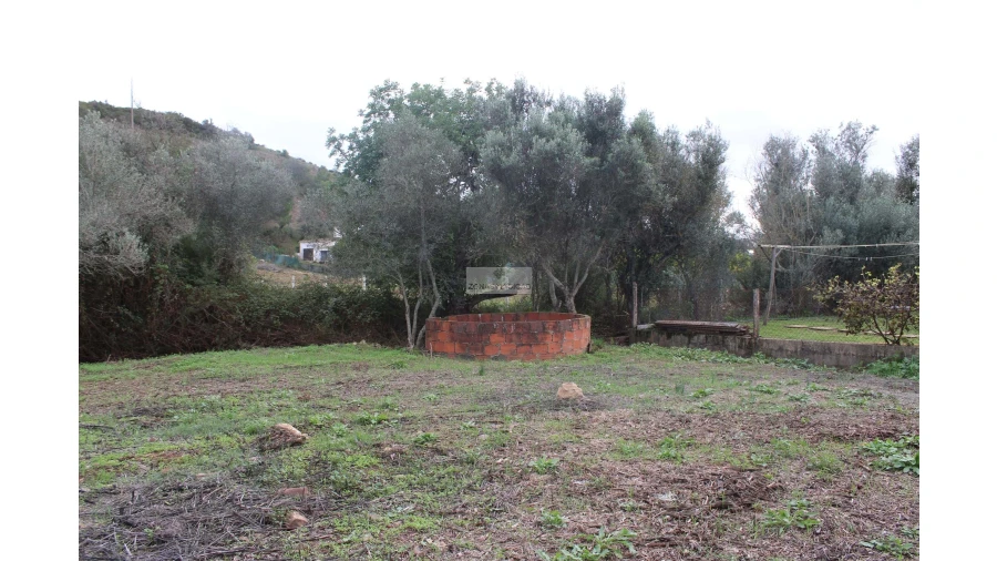 Quinta T2 para Venda em Mexilhoeira Grande Foto 7