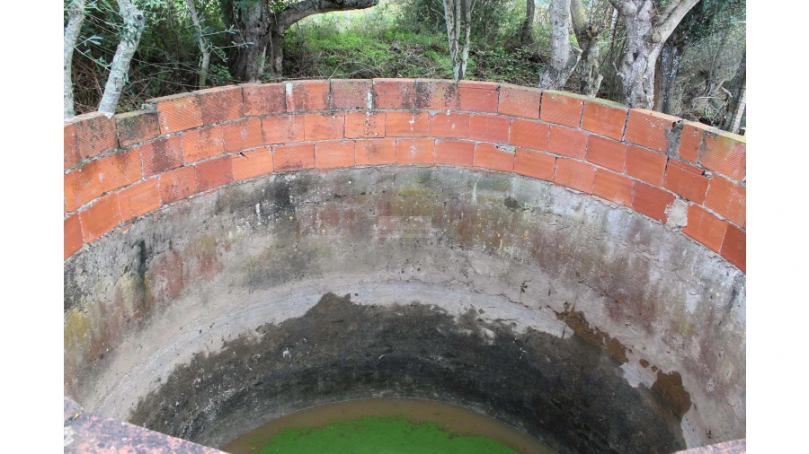 Quinta T2 para Venda em Mexilhoeira Grande Foto 10