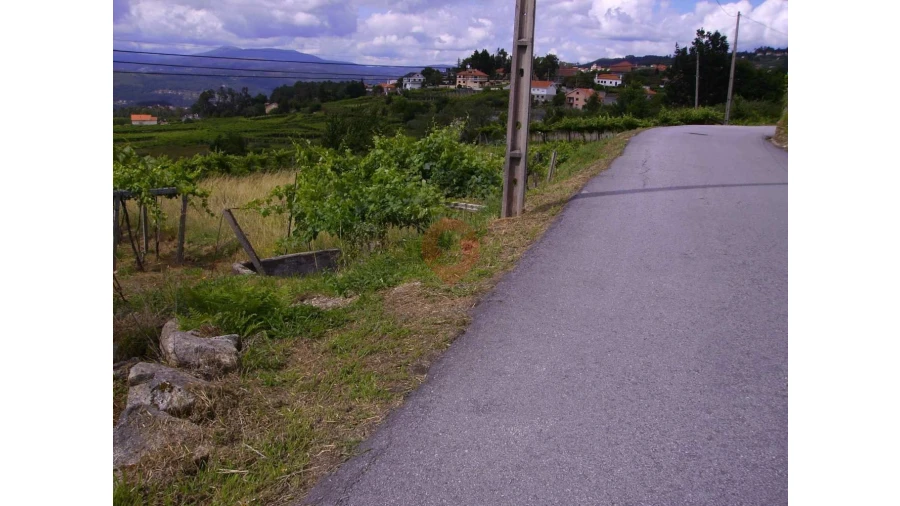 Moradia T0 para Venda em São Paio Foto 3