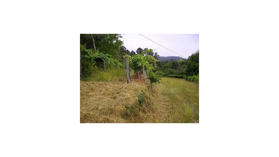 Moradia T0 para Venda em São Paio Foto 5