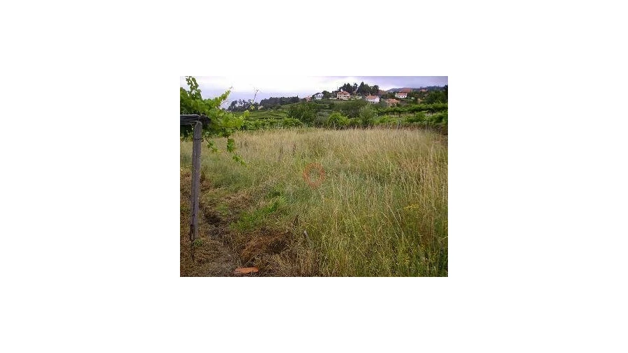 Moradia T0 para Venda em São Paio Foto 4