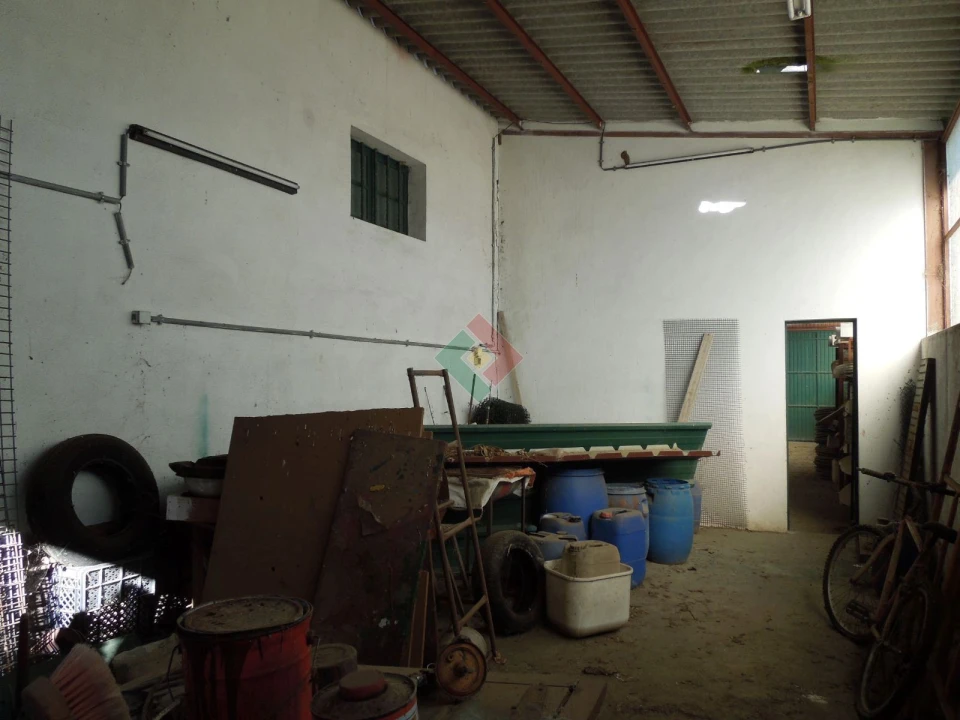 Armazém para Venda em Santa Maria da Devesa Foto 19