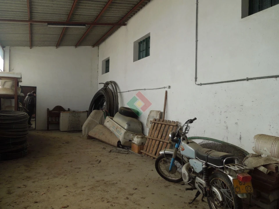 Armazém para Venda em Santa Maria da Devesa Foto 21