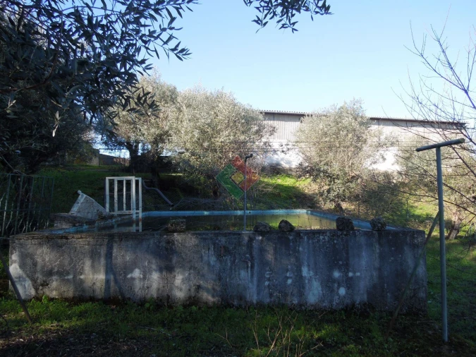 Armazém para Venda em Santa Maria da Devesa Foto 12