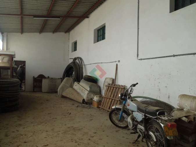 Armazém para Venda em Santa Maria da Devesa Foto 21