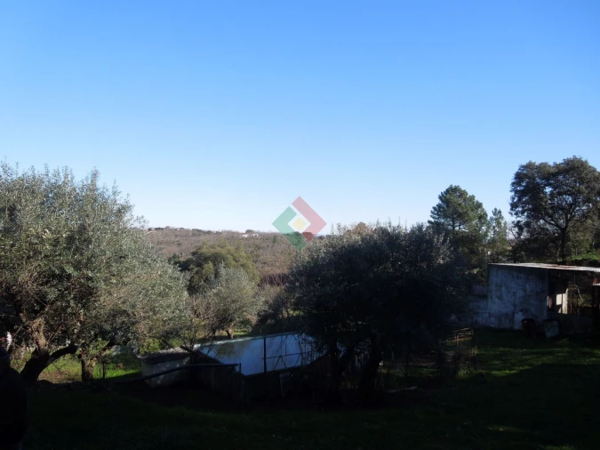 Armazém para Venda em Santa Maria da Devesa Foto 25