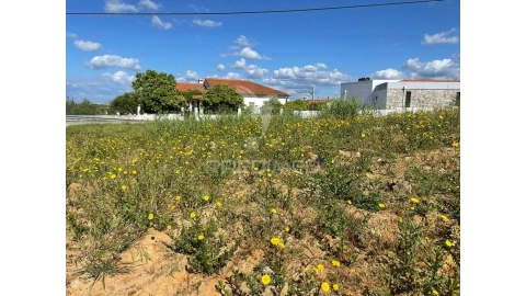 Terreno para Venda em Achete, Azoia de Baixo e Póvoa de Santarém