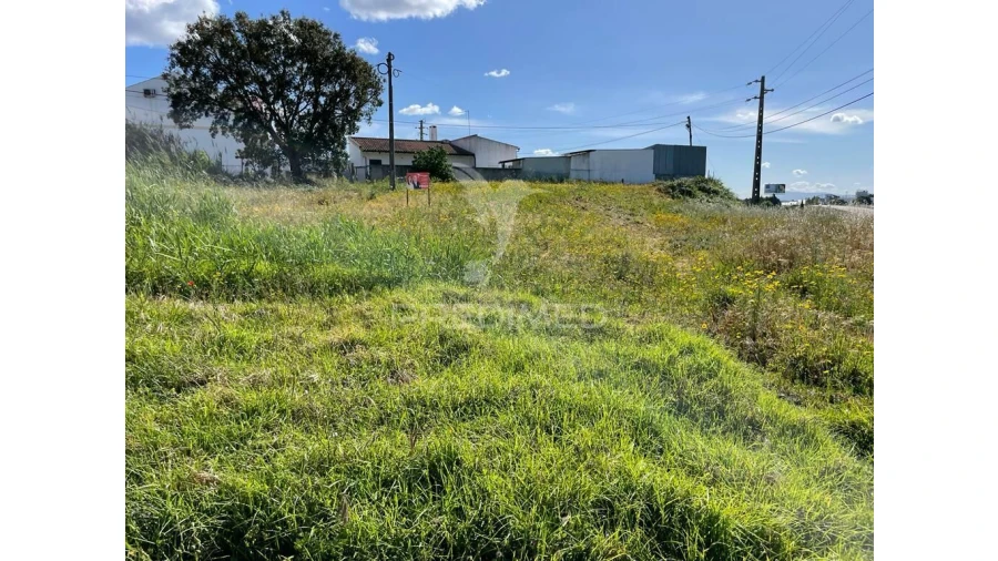 Terreno para Venda em Achete, Azoia de Baixo e Póvoa de Santarém Foto 5