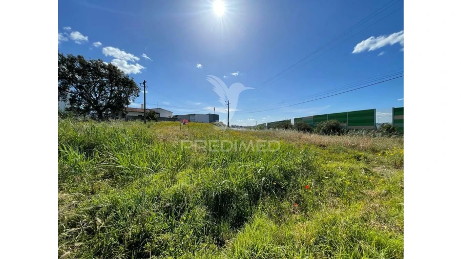 Terreno para Venda em Achete, Azoia de Baixo e Póvoa de Santarém Foto 2