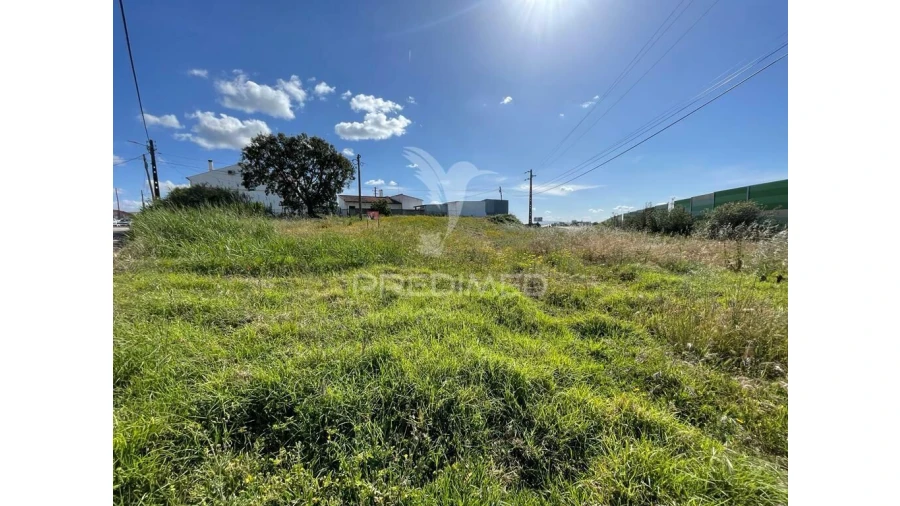 Terreno para Venda em Achete, Azoia de Baixo e Póvoa de Santarém Foto 3