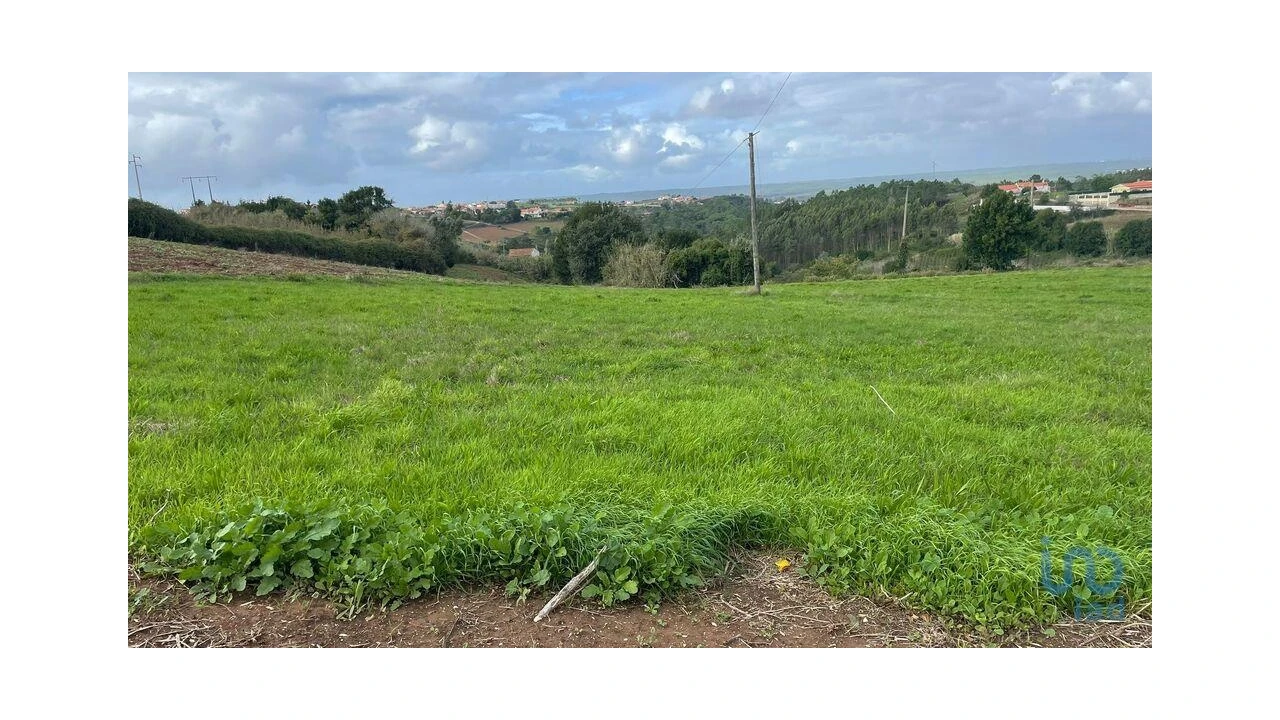Terreno para Venda em Aljubarrota Foto 11