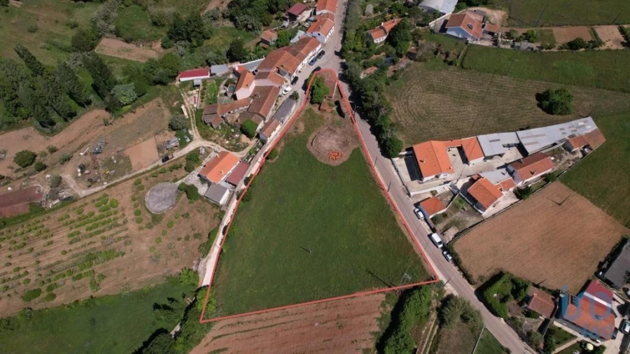Terreno para Venda em Aljubarrota Foto 14
