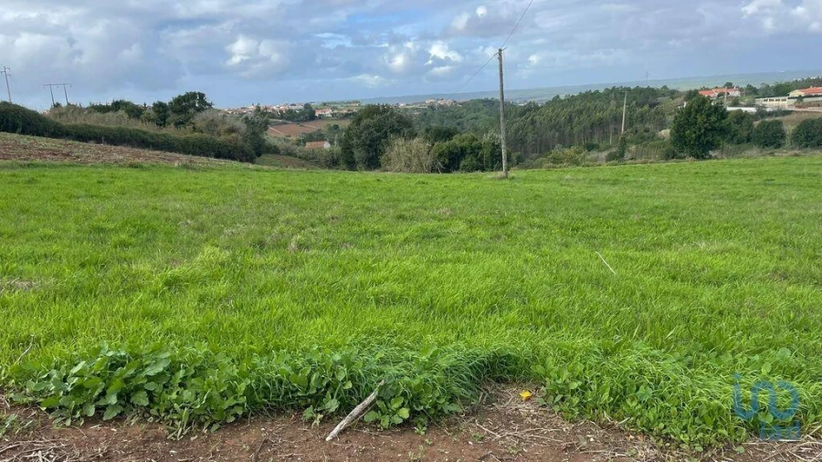 Terreno para Venda em Aljubarrota Foto 11