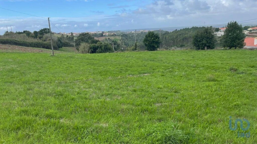 Terreno para Venda em Aljubarrota Foto 1