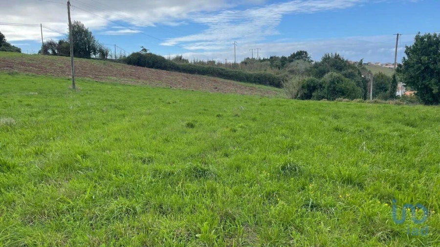 Terreno para Venda em Aljubarrota Foto 4
