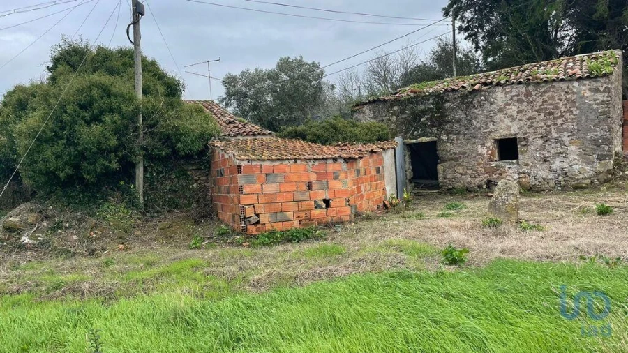 Terreno para Venda em Aljubarrota Foto 7