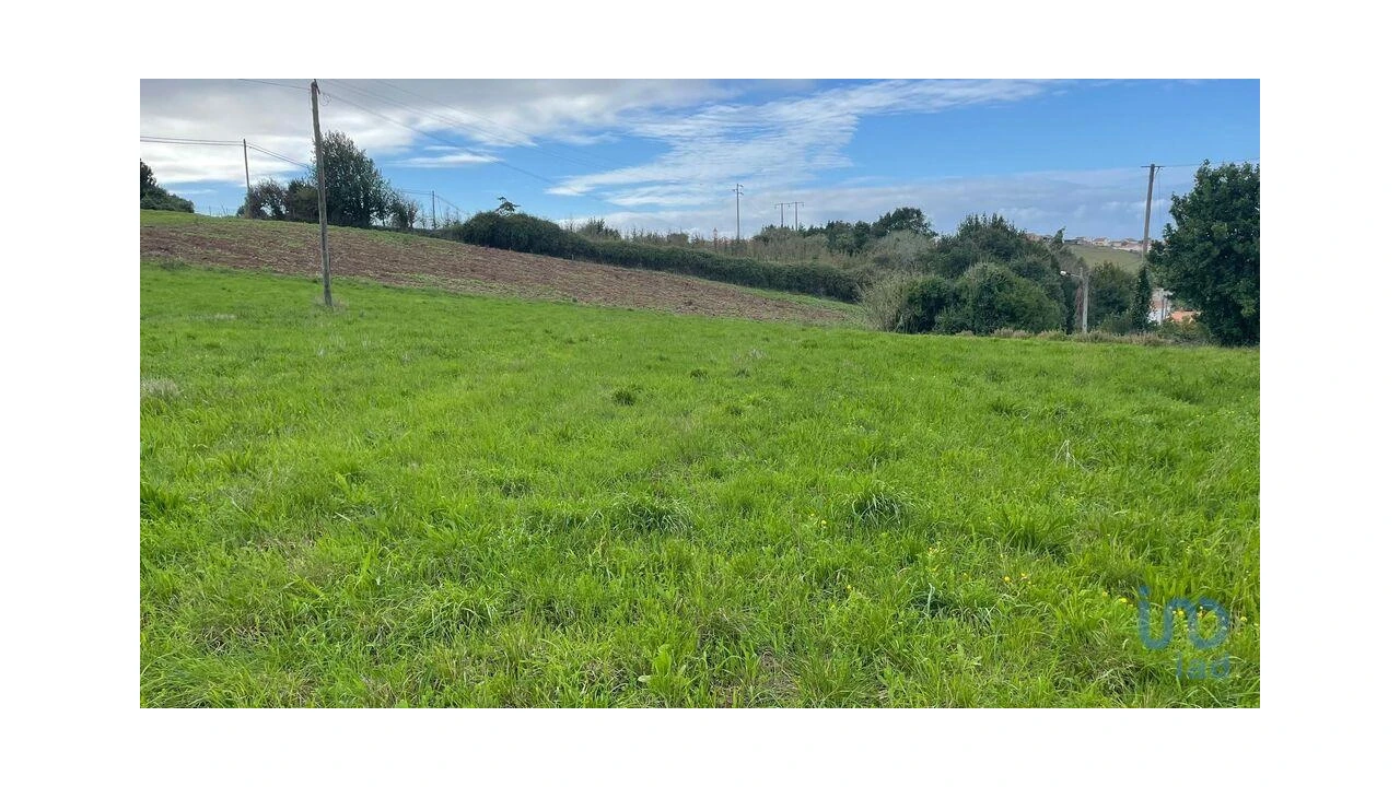 Terreno para Venda em Aljubarrota Foto 4