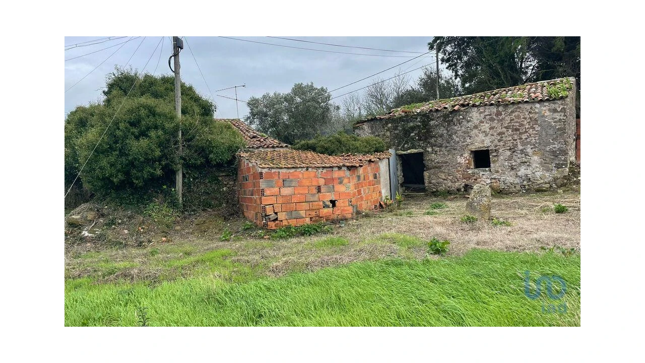 Terreno para Venda em Aljubarrota Foto 7