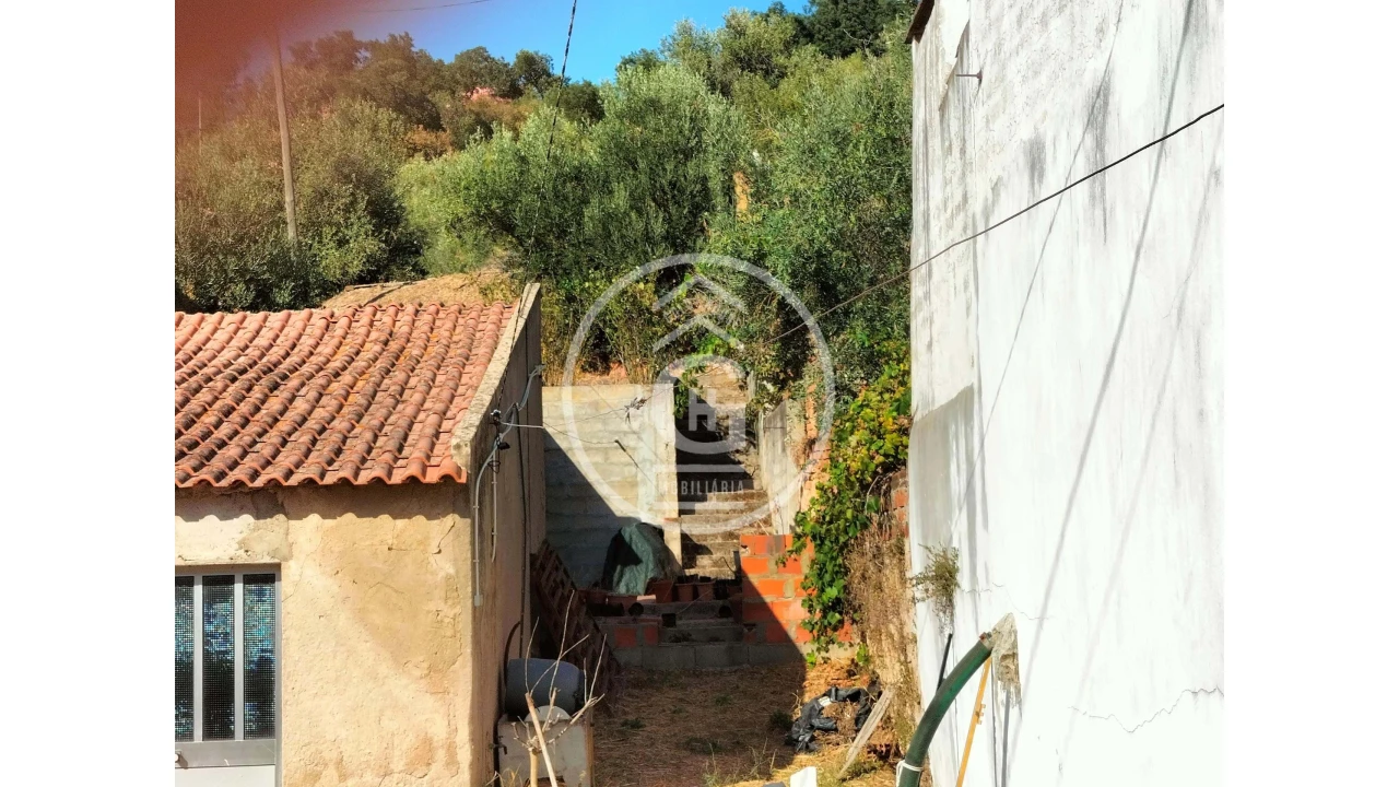 Moradia T2 para Venda em Chamusca e Pinheiro Grande Foto 4