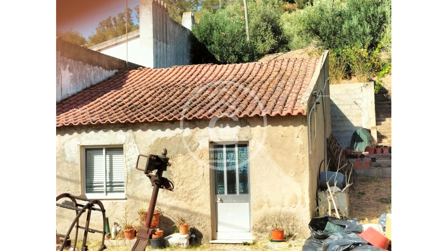 Moradia T2 para Venda em Chamusca e Pinheiro Grande Foto 3