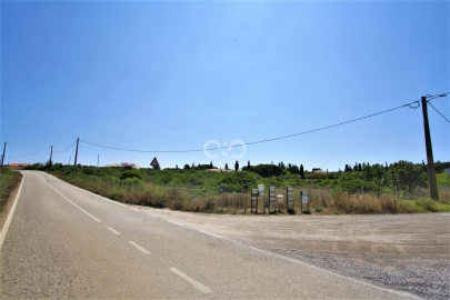Terreno para Venda em Barão de São Miguel