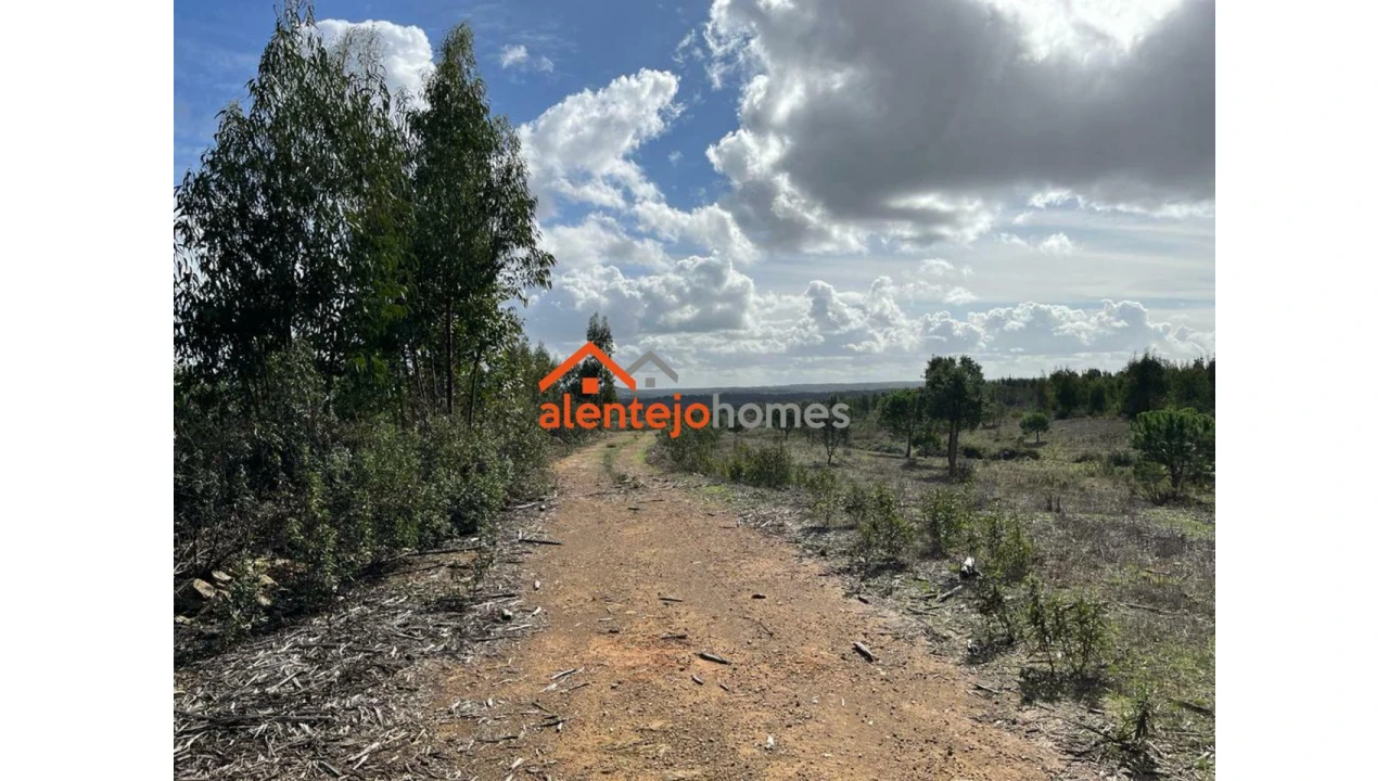 Quinta T0 para Venda em Grândola e Santa Margarida da Serra Foto 10