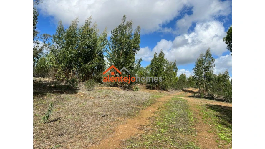 Quinta T0 para Venda em Grândola e Santa Margarida da Serra Foto 15