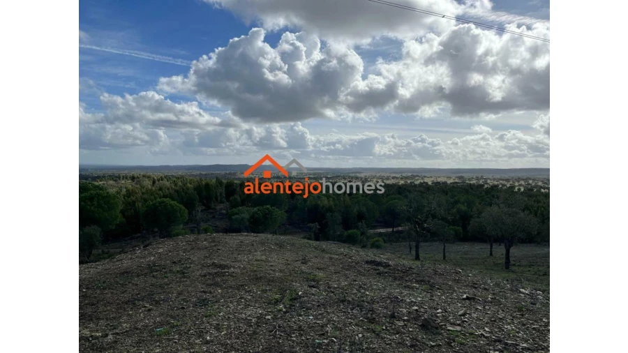 Quinta T0 para Venda em Grândola e Santa Margarida da Serra Foto 11