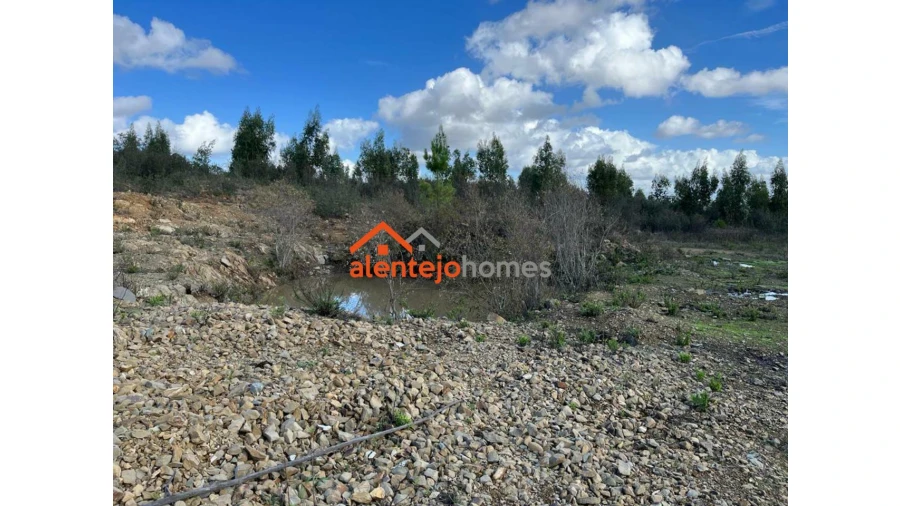 Quinta T0 para Venda em Grândola e Santa Margarida da Serra Foto 8