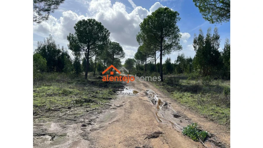 Quinta T0 para Venda em Grândola e Santa Margarida da Serra Foto 20