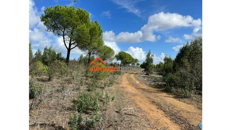 Quinta T0 para Venda em Grândola e Santa Margarida da Serra Foto 16