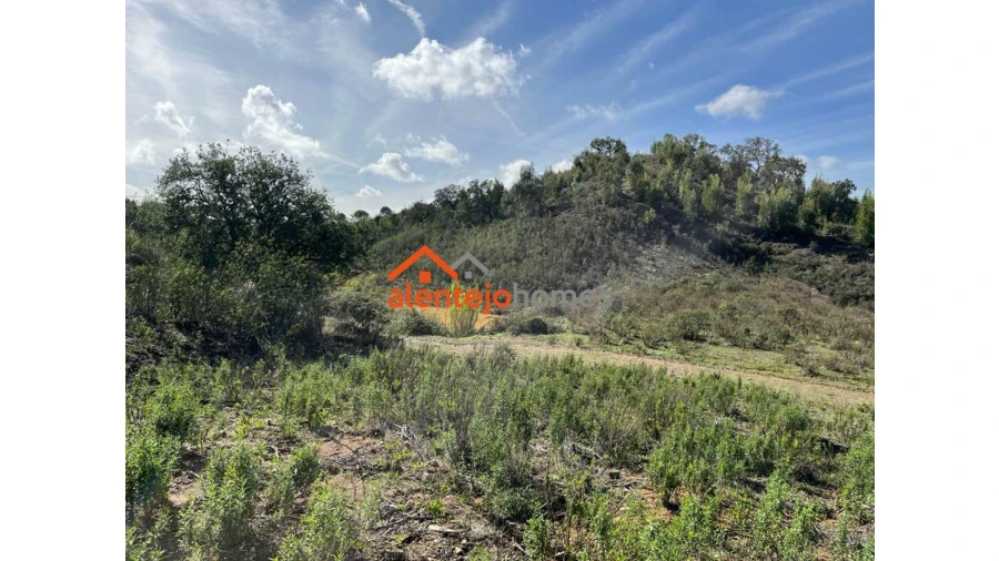 Quinta T0 para Venda em Grândola e Santa Margarida da Serra Foto 7