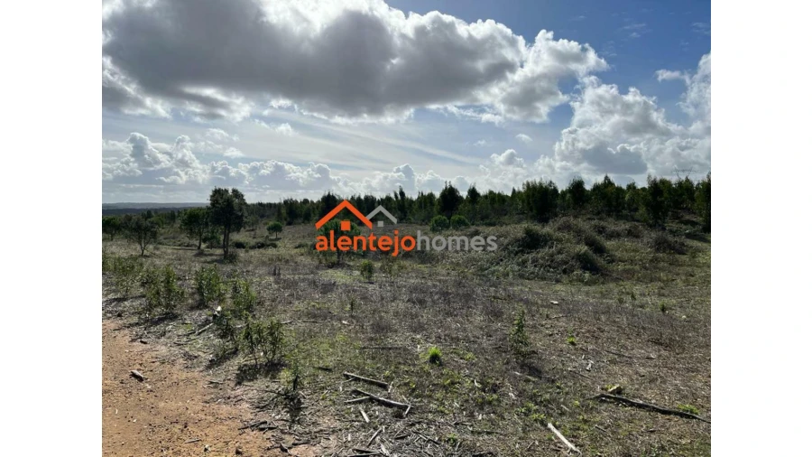Quinta T0 para Venda em Grândola e Santa Margarida da Serra Foto 13
