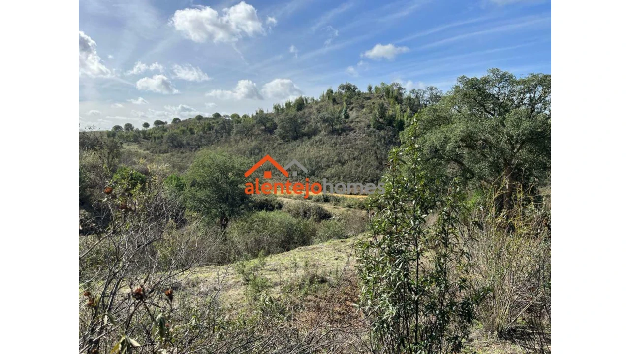 Quinta T0 para Venda em Grândola e Santa Margarida da Serra Foto 9