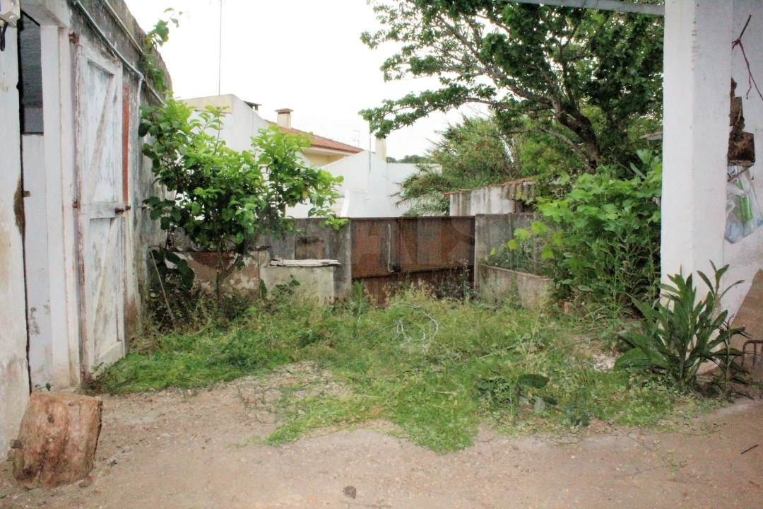 Loja para Venda em Ventosa Foto 2