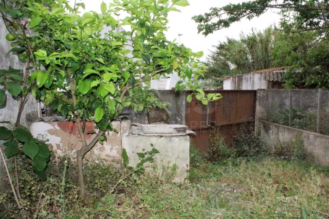 Loja para Venda em Ventosa Foto 3