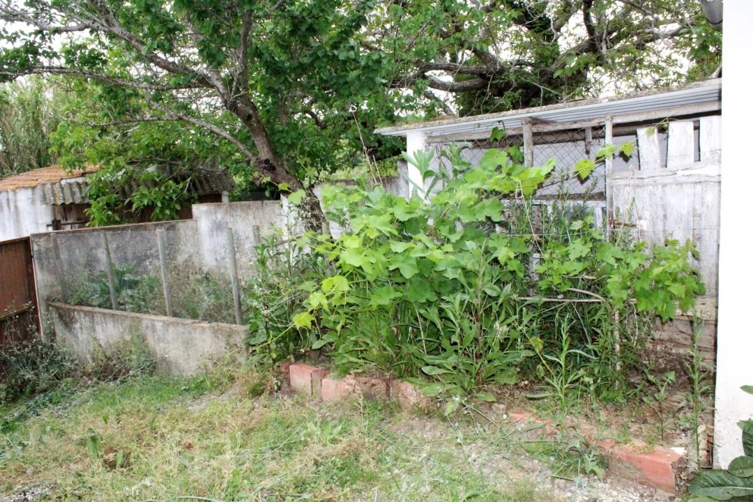 Loja para Venda em Ventosa Foto 5