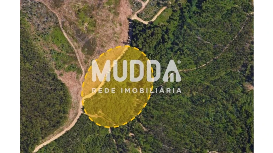Terreno para Venda em Santa Maria da Feira, Travanca, Sanfins e Espargo Foto 2