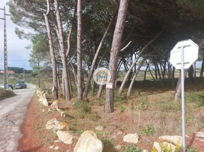 Quinta T3 para Venda em Santa Maria e São Miguel, São Martinho, São Pedro Penaferrim Foto 20