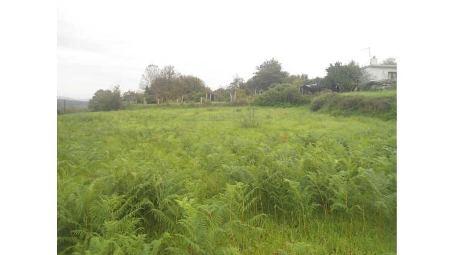 Quinta T0 para Venda em Gondarem Foto 6