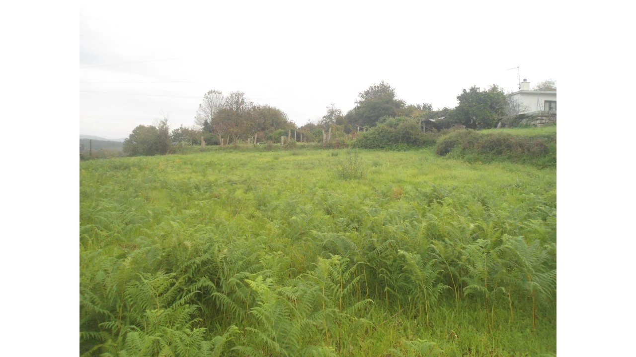 Quinta T0 para Venda em Gondarem Foto 6